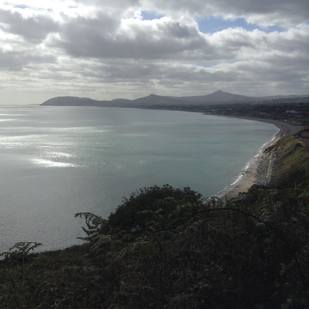 Whiterock Blog Image
